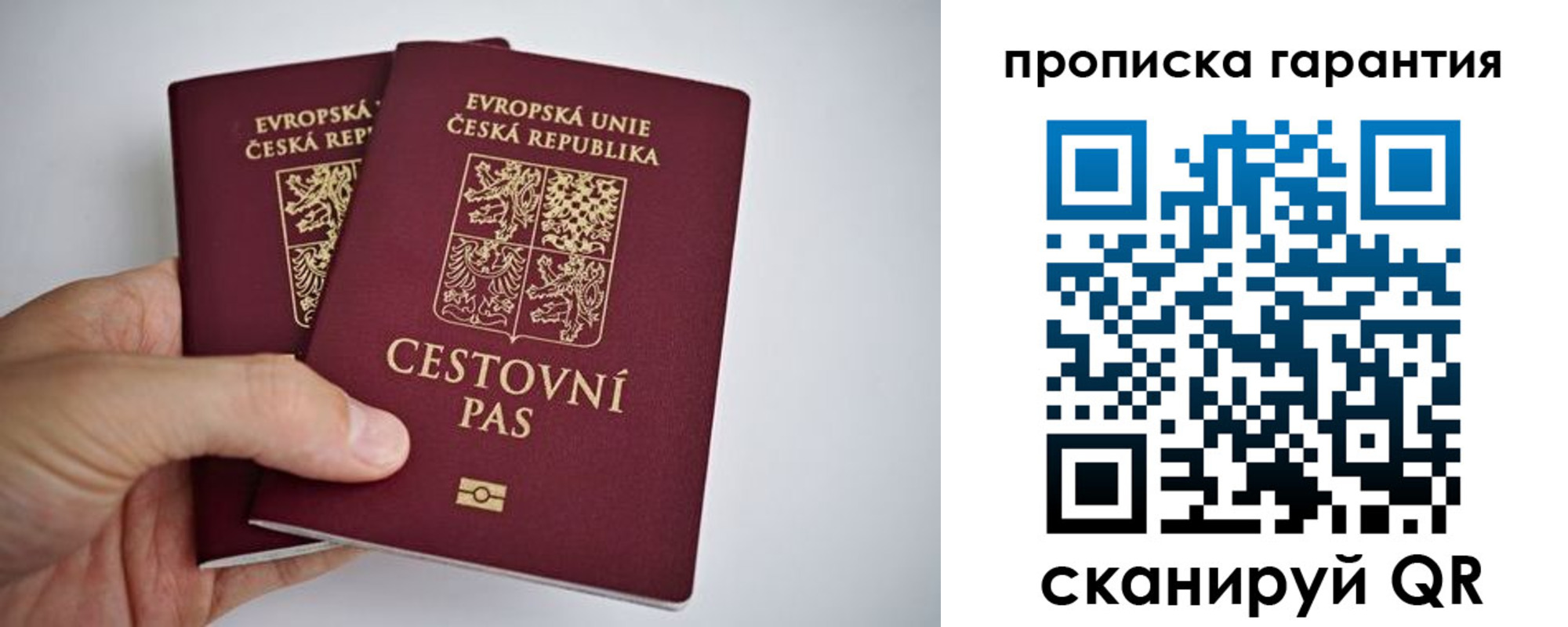 прописка в Клине
